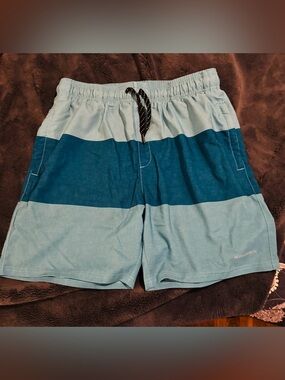 Men's Two-Tone Blue Stripe Swim Trunks